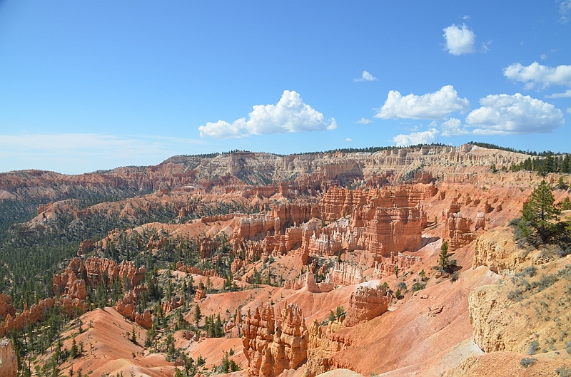 330_USA_Bryce_Canyon_National_Park.JPG