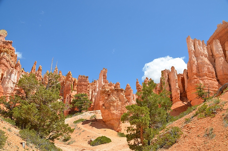 350_USA_Bryce_Canyon_National_Park.JPG