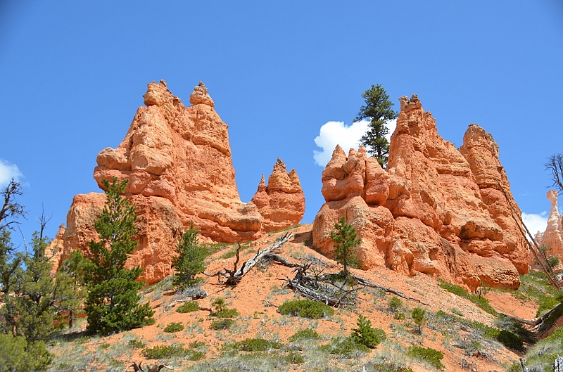 355_USA_Bryce_Canyon_National_Park.JPG