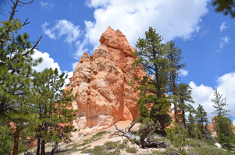 361_USA_Bryce_Canyon_National_Park.JPG