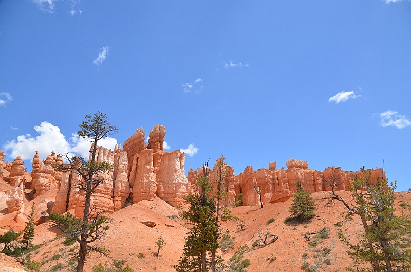364_USA_Bryce_Canyon_National_Park.JPG