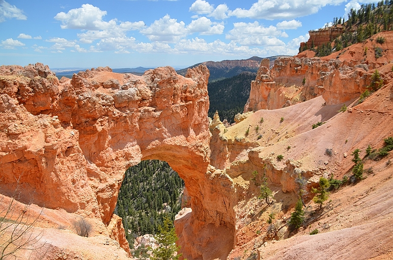 391_USA_Bryce_Canyon_National_Park.JPG
