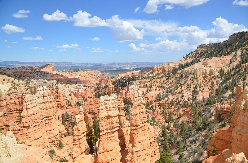 404_USA_Bryce_Canyon_National_Park.JPG