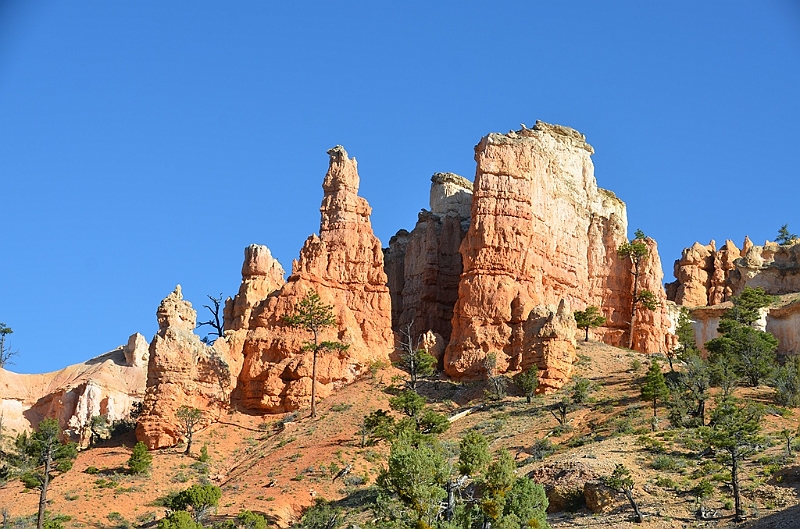 405_USA_Bryce_Canyon_National_Park.JPG