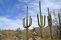 035_USA_Saguaro_National_Park