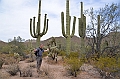 042_USA_Saguaro_National_Park_Privat