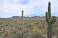 045_USA_Saguaro_National_Park