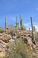 059_USA_Saguaro_National_Park