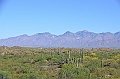 066_USA_Saguaro_National_Park
