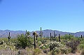 070_USA_Saguaro_National_Park