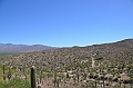 072_USA_Saguaro_National_Park