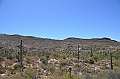 073_USA_Saguaro_National_Park