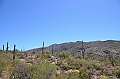 074_USA_Saguaro_National_Park