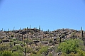 077_USA_Saguaro_National_Park