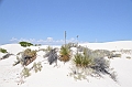 091_USA_White_Sands_National_Monument