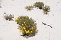 101_USA_White_Sands_National_Monument
