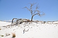 103_USA_White_Sands_National_Monument
