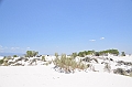 104_USA_White_Sands_National_Monument