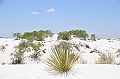 105_USA_White_Sands_National_Monument