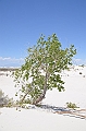 106_USA_White_Sands_National_Monument
