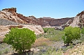 269_USA_Capital_Reef_National_Park