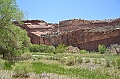 272_USA_Capital_Reef_National_Park