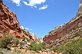283_USA_Capital_Reef_National_Park