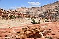 297_USA_Capital_Reef_National_Park