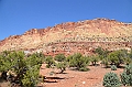 311_USA_Capital_Reef_National_Park
