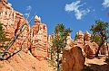 347_USA_Bryce_Canyon_National_Park