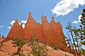 352_USA_Bryce_Canyon_National_Park