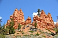 355_USA_Bryce_Canyon_National_Park