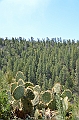 608_USA_Walnut_Canyon