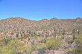 101_Arizona_Tucson_Saguaro_NP23