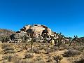 025_USA_Kalifornien­_Joshua_Tree_Nationalpark 