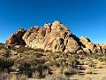 028_USA_Kalifornien­_Joshua_Tree_Nationalpark 