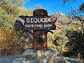 169_USA_Kalifornien_Sequoia_NP
