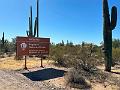 373_USA_Arizona_Saguaro_NP