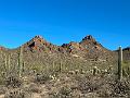 392_USA_Arizona_Saguaro_NP