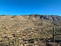 408_USA_Arizona_Saguaro_NP