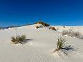 424_USA_New_Mexico_White_Sands_NP