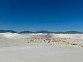 436_USA_New_Mexico_White_Sands_NP