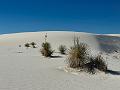 442_USA_New_Mexico_White_Sands_NP