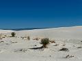444_USA_New_Mexico_White_Sands_NP
